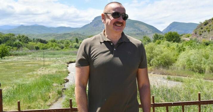 Prezident: "Zəngilanı park şəhərinə çevirməliyik"