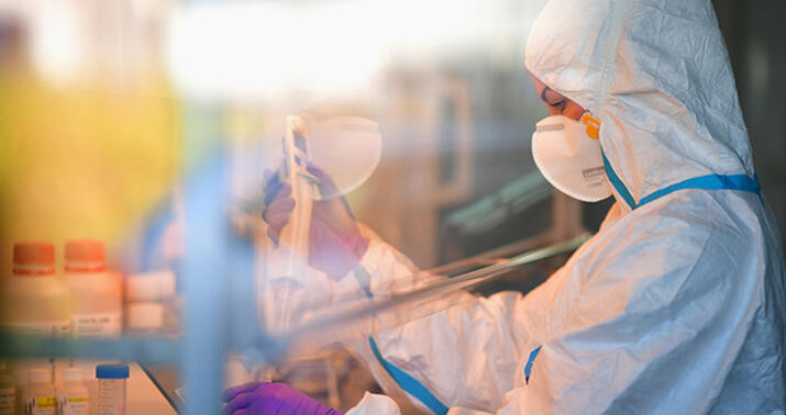 Meymunçiçəyindən ilk ölümlər qeydə alındı