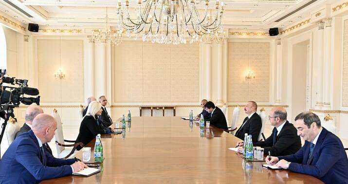 İlham Əliyev Mixayloviçi qəbul etdi -