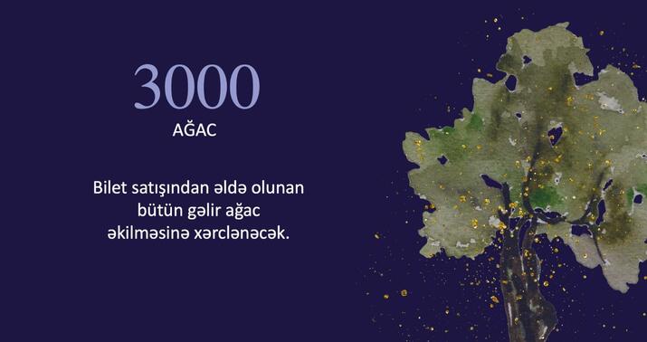 Bütün gəlir ağac əkilməsinə xərclənəcək -