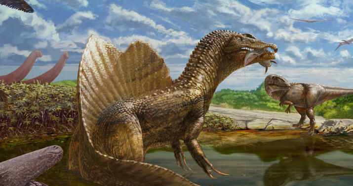 Misirdə qolsuz dinozavrların fosilləri tapıldı -