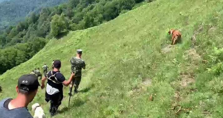 FHN hindistanlı turistin axtarışına itləri cəlb etdi  -