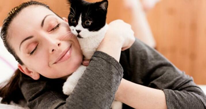 Sumqayıtda pişik alverçilərindən şok əməllər –