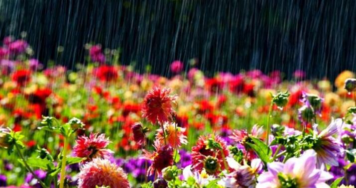 Faktiki hava şəraiti açıqlandı