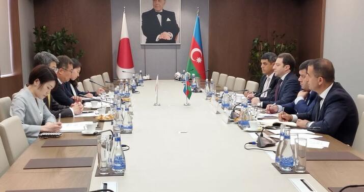 Azərbaycan və Yaponiya XİN-ləri arasında görüş keçirildi -