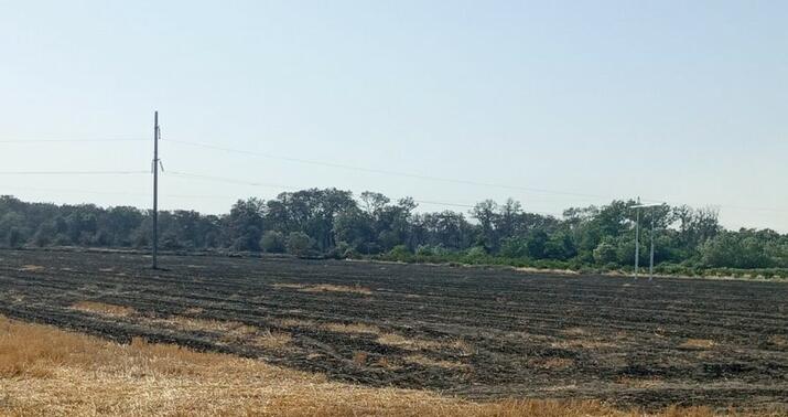 Şabrandakı yanğınla bağlı 1 nəfər məsuliyyətə cəlb edildi