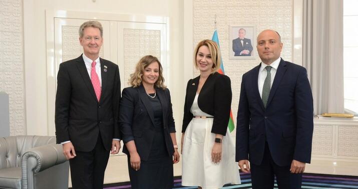 Anar Kərimov Britaniya səfiri ilə görüşdü