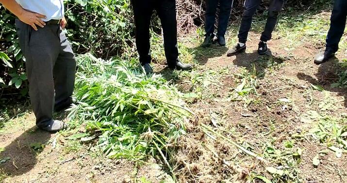 Polis meşədə əməliyyat keçirdi: həbs olunanlar var –