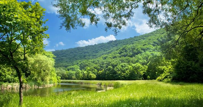 Havanın temperaturu 44 dərəcəyədək yüksələcək
