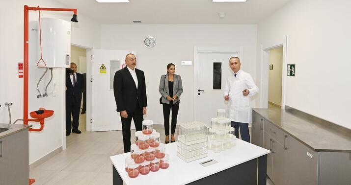 Prezidentlə xanımı badam emalı zavodunun açılışında -