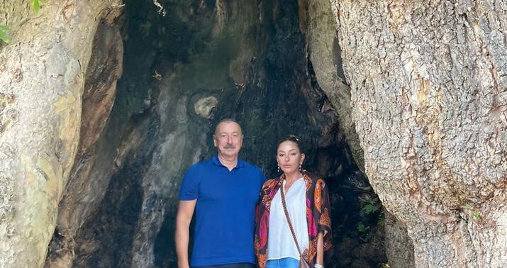 Mehriban Əliyeva Basqal qəsəbəsindən paylaşım etdi