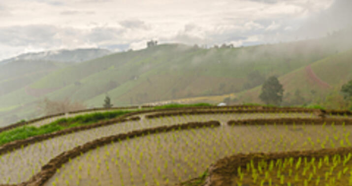 Çin süni yağış yağdıracaq