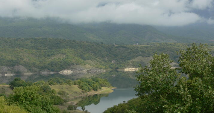 Separatçılar təsdiqlədilər: