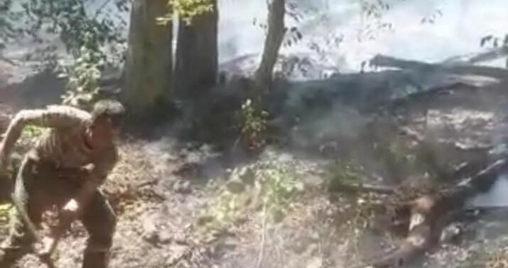 Oğuzda dağlıq ərazidə baş verən yanğın söndürüldü -