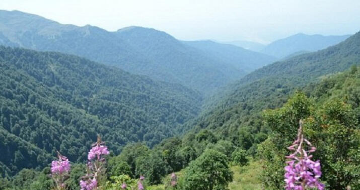 “Laçının qaranlıq taleyinə işıq düşən günü gördük...” –