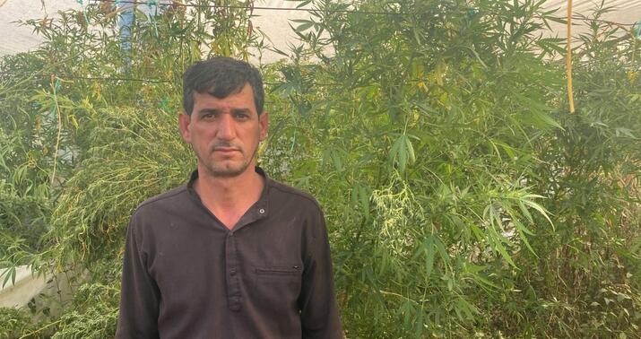 İstixanada narkotik becərən Salyan sakini tutuldu