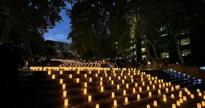 Festival üçün Yaponiyadan 2100 şam gətirildi -