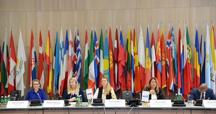 ATƏT-ə sədrlik edən ölkədən çağırış –