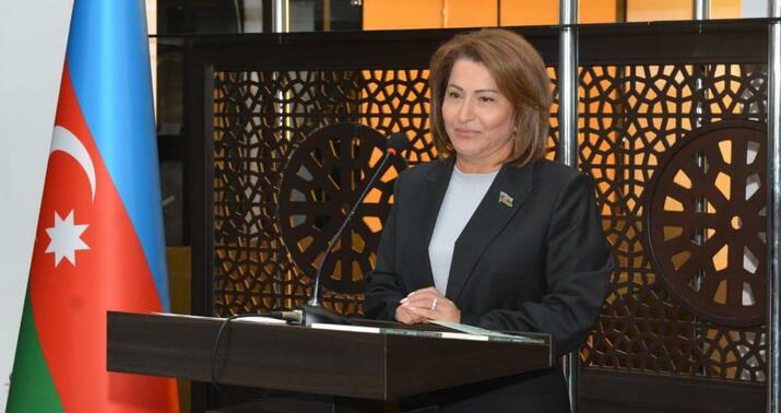 Erməni lobbisinin dili ilə danışan anti-milli qüvvələr: Bu, heç bir əxlaqa sığmır -