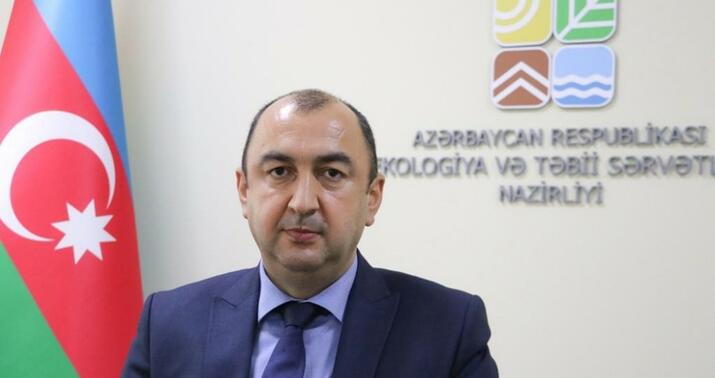 Nazir müavini ermənilərin törətdiyi yanğınlara münasibət bildirdi