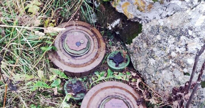 Lənkəranda 8 ədəd mina tapıldı