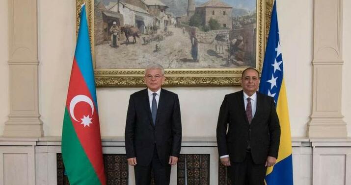 Vilayət Quliyev etimadnaməsini Şefik Caferoviçə təqdim etdi