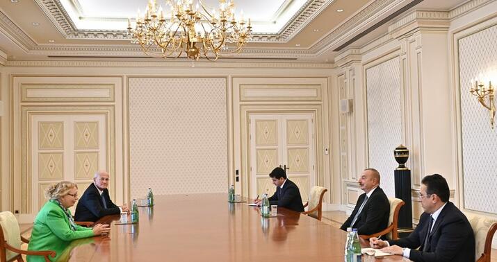 İlham Əliyev Tatyana Valovayanı qəbul etdi -