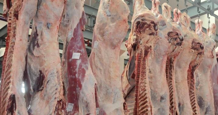 Nöqsan aşkarlanan heyvan kəsimi məntəqələrinin adları -