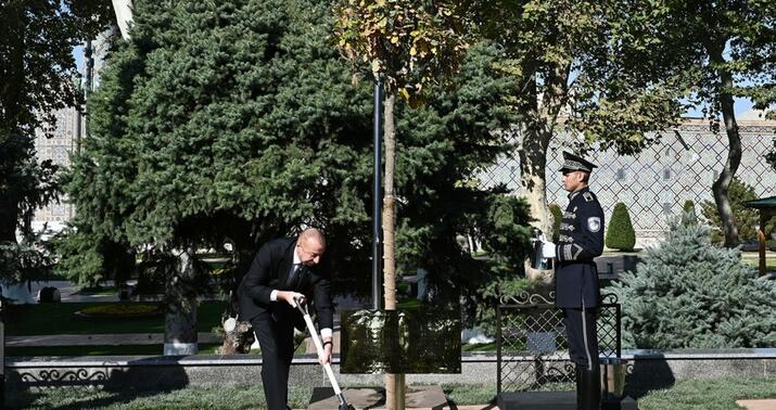İlham Əliyev Səmərqəndin "Registan" meydanında ağac əkdi