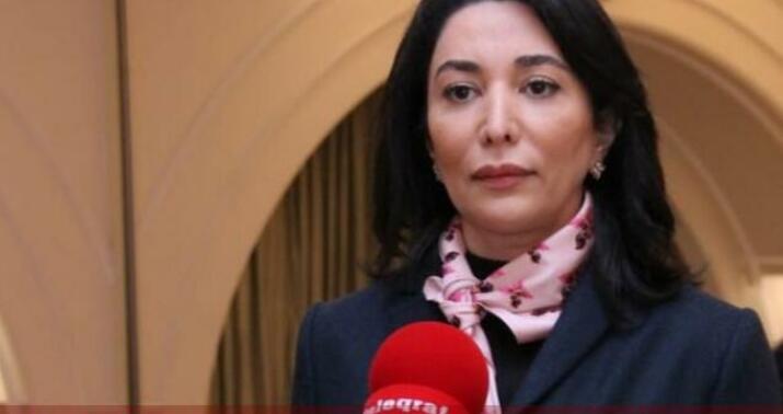 "Ombudsmanın səlahiyyətinin artırılması barədə müzakirələr..."-