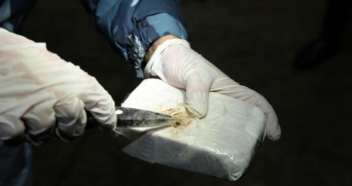 Şəmkirdə yarım milyonluq narkotik aşkarlandı