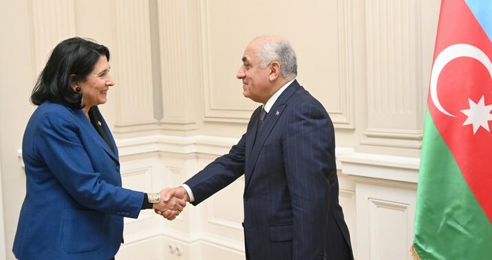 Əli Əsədov Gürcüstan Prezidenti ilə görüşdü