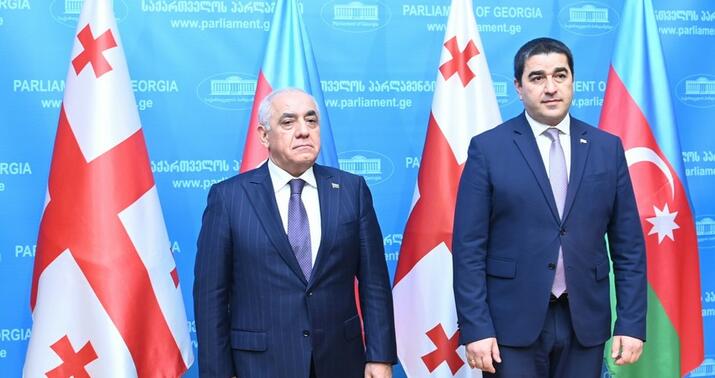 Əli Əsədov Şalva Papuaşvili ilə görüşdü