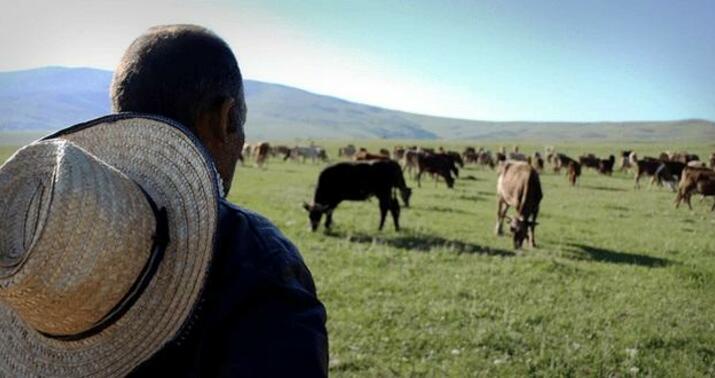 Bərdədə 5 uşaq atası olan çobandan dəhşətli əməl –