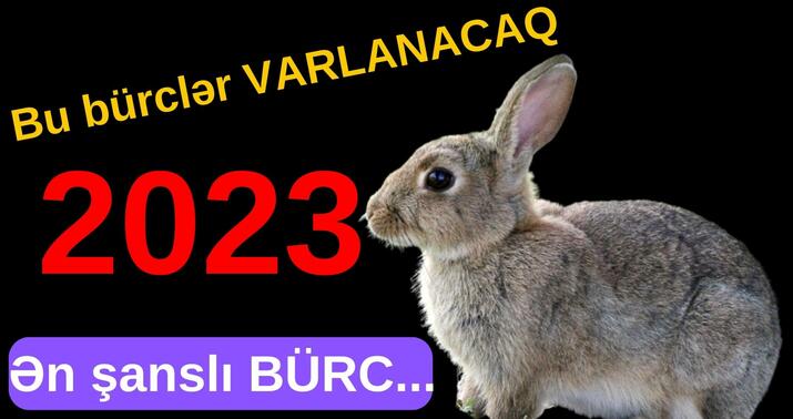 2023-cü ildə 5 bürcün həyatı tam dəyişəcək -