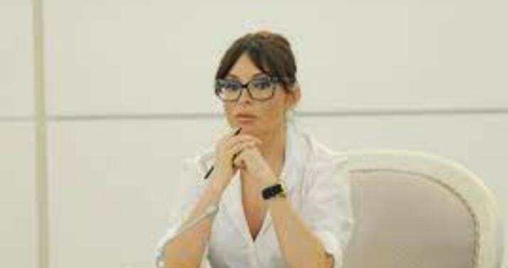 Mehriban Əliyevanın müraciəti qardaş Türkiyəyə olan yüksək həmrəyliyin nümunəsidir –