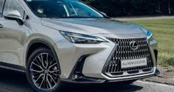 Usta təmirə verilən “Lexus”u oğurladı