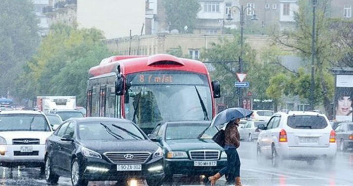 DYP hava şəraiti ilə bağlı müraciət etdi
