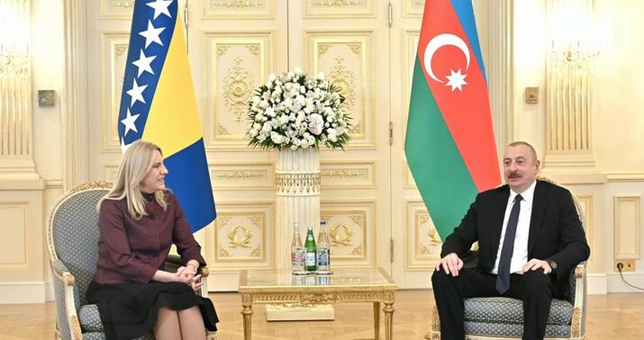 Prezident Jelka Tsviyanoviçlə görüşdü –