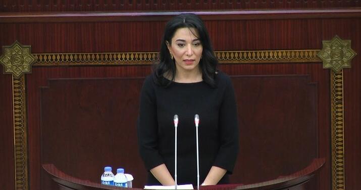 Ombudsmanın hesabatı Milli Məclisdə təsdiq olunub