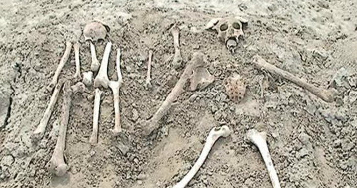 Ağdamda insan skeletinə bənzər sümüklər aşkarlandı –