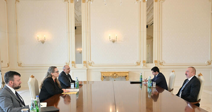 İlham Əliyev Erika Olsonu qəbul etdi