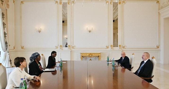 Prezident BMMT-nin Baş katibini qəbul etdi -