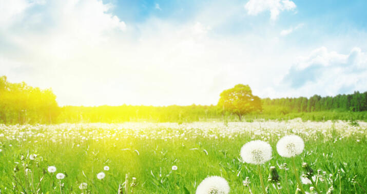 Sabahın hava proqnozu açıqlandı