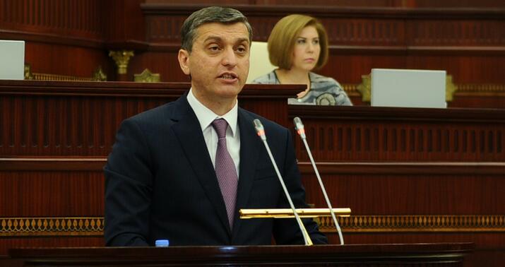 "Cari ildə də dövlət əsaslı vəsait qoyuluşu..." - Palata sədri