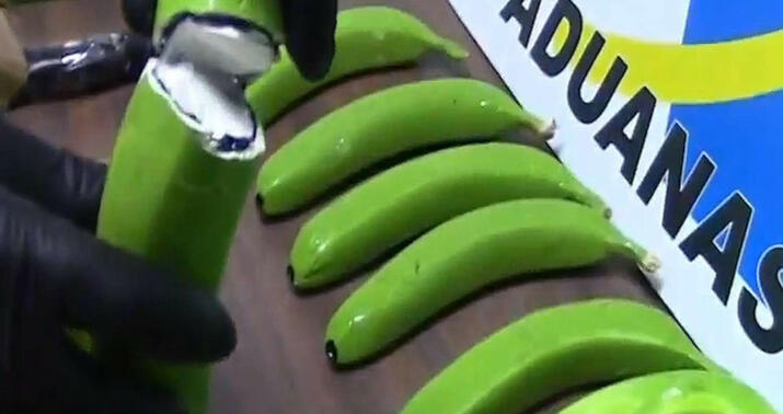 Bananların içərisindən 161 kq kokain tapıldı