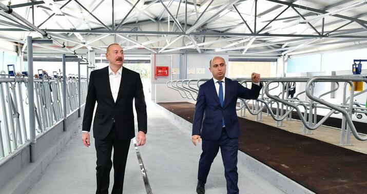 Prezident Cəlilabad Dövlət Peşə Təhsil Mərkəzinin açılışında -