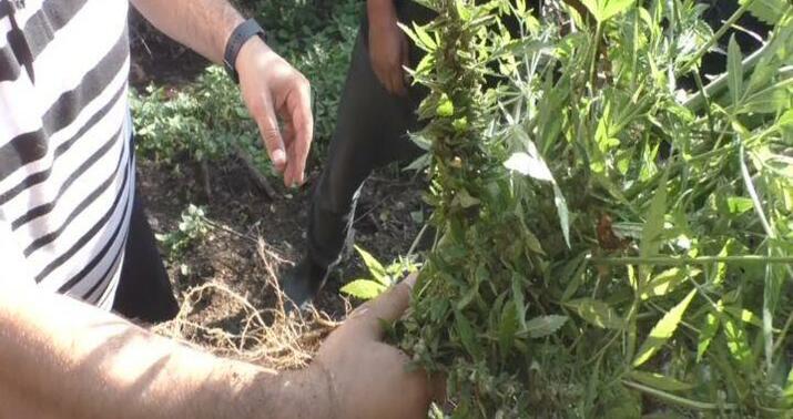 Zaqatalada polis dağlarda əməliyyat keçirdi –