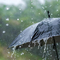 Növbəti 2 gündə yağış yağacaq -