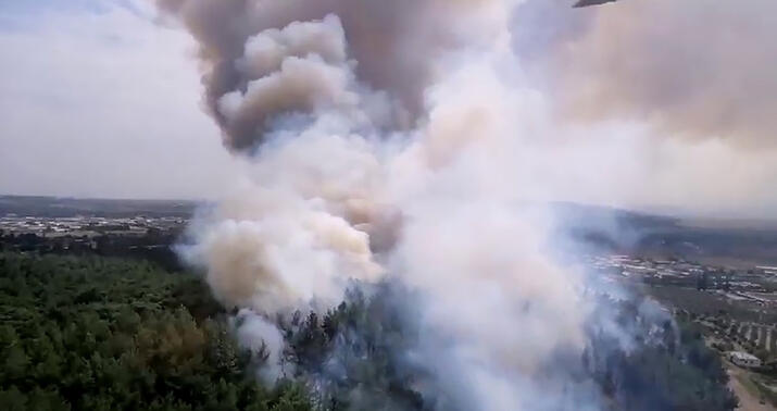 İzmirdə meşə yanğını -